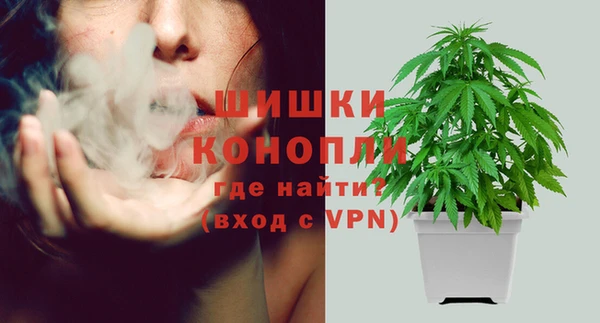 ГАЛЛЮЦИНОГЕННЫЕ ГРИБЫ Абаза