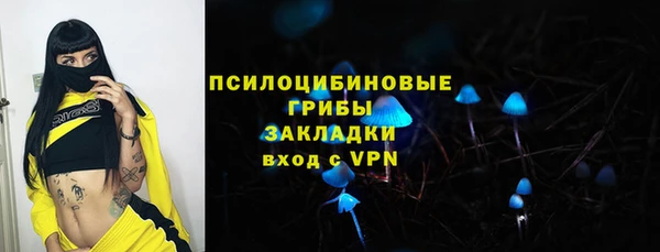ГАЛЛЮЦИНОГЕННЫЕ ГРИБЫ Абаза